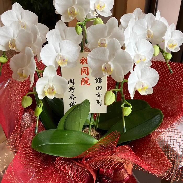 画像272