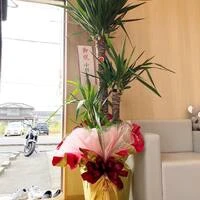 画像277