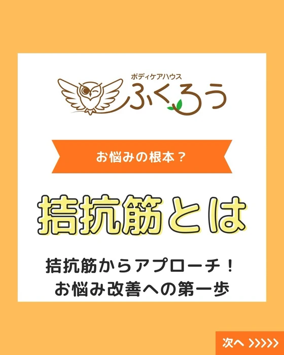画像502