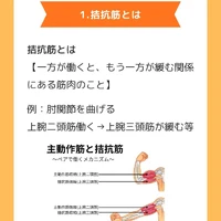 画像503