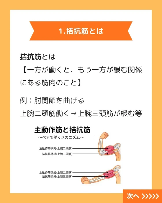 画像503